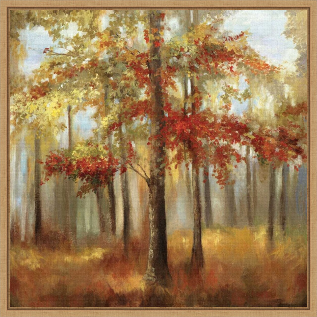 Soft Light (Trees) by Allison Pearce 16-in. W x 16-in. H. Canvas Wall Art Print Framed in Natural